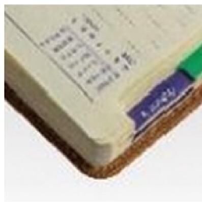 Mesin Pencetak Kalender Kertas Notebook Spiral Binding Machine
